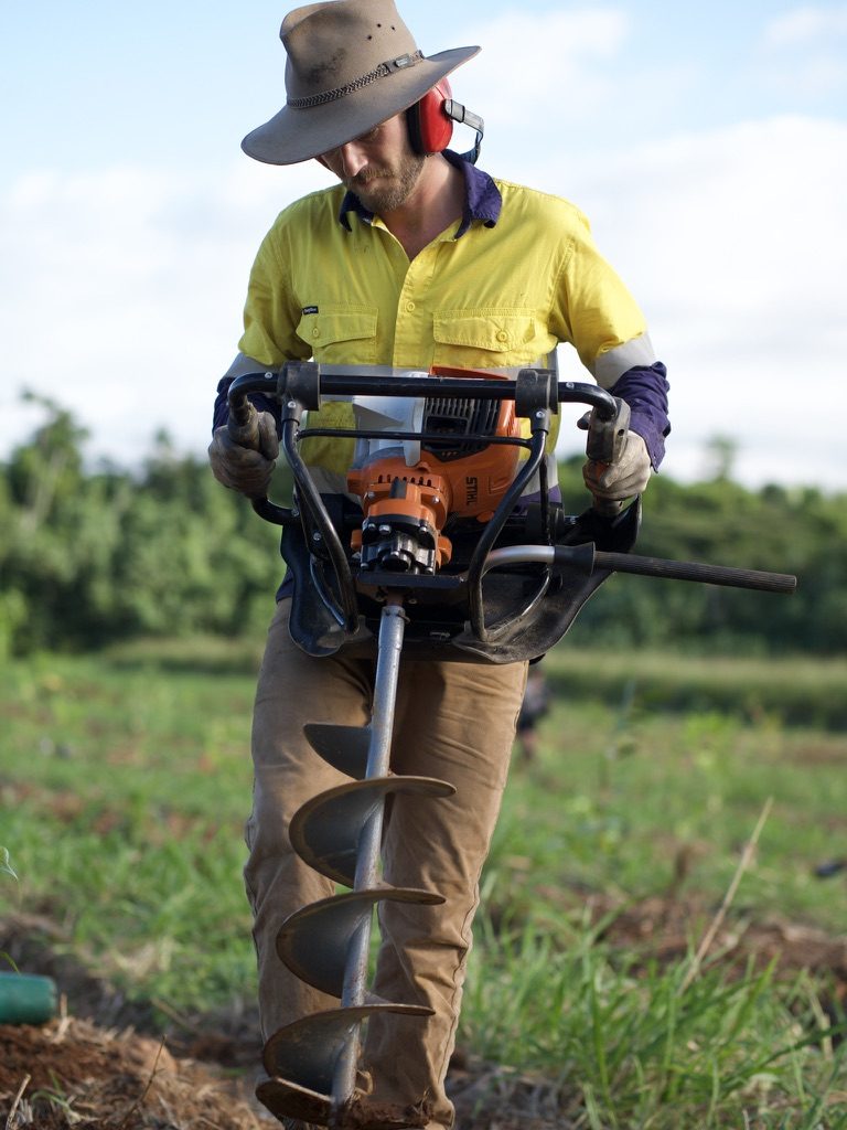 Drilling planting holes with an earth auger, ear muffs on